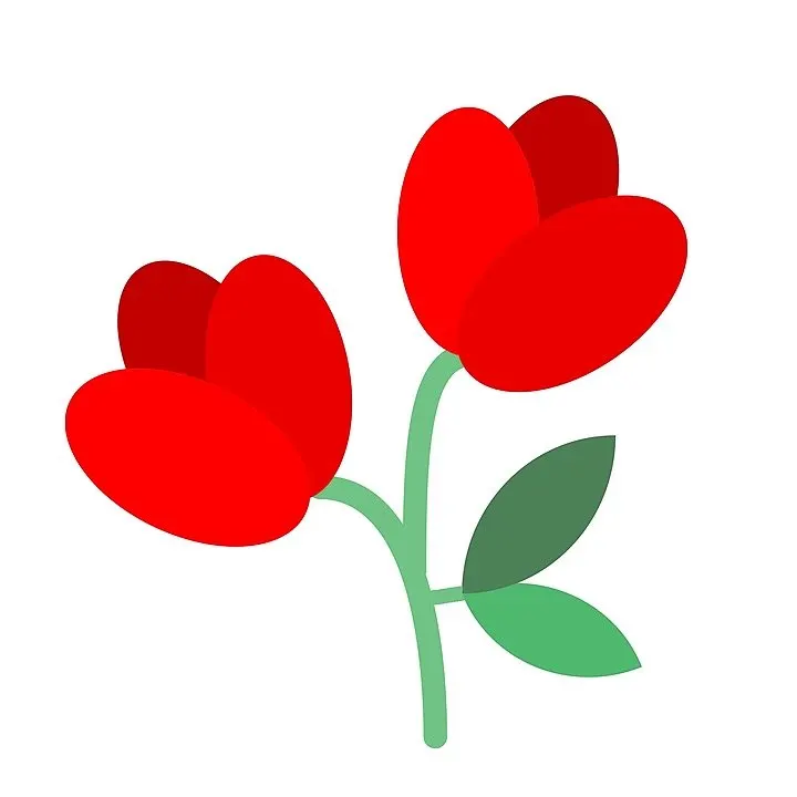 زهور صباح السالم - decor & flowers in kuwait-city