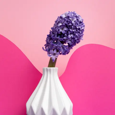 Bleems - decor & flowers in Kuwait (4)