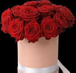 Flower Box - decor & flowers in Al Riy