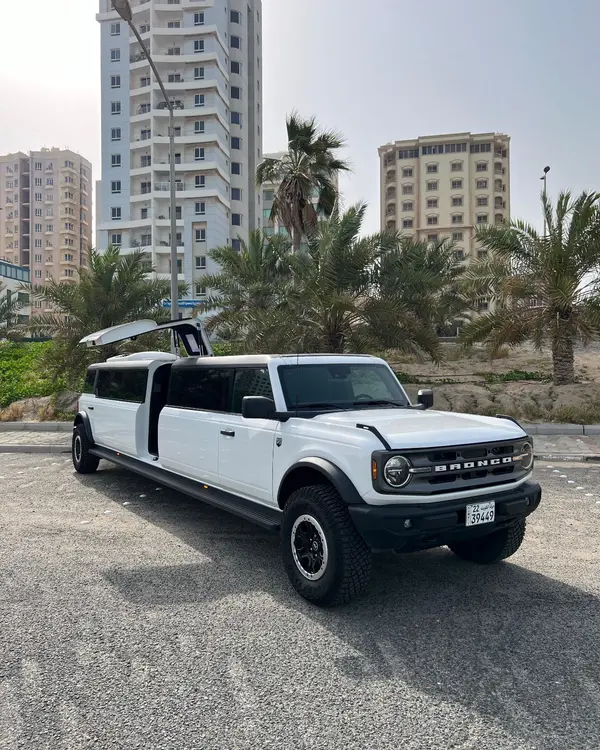 Princess Limousine - transport in Salmiya (2)
